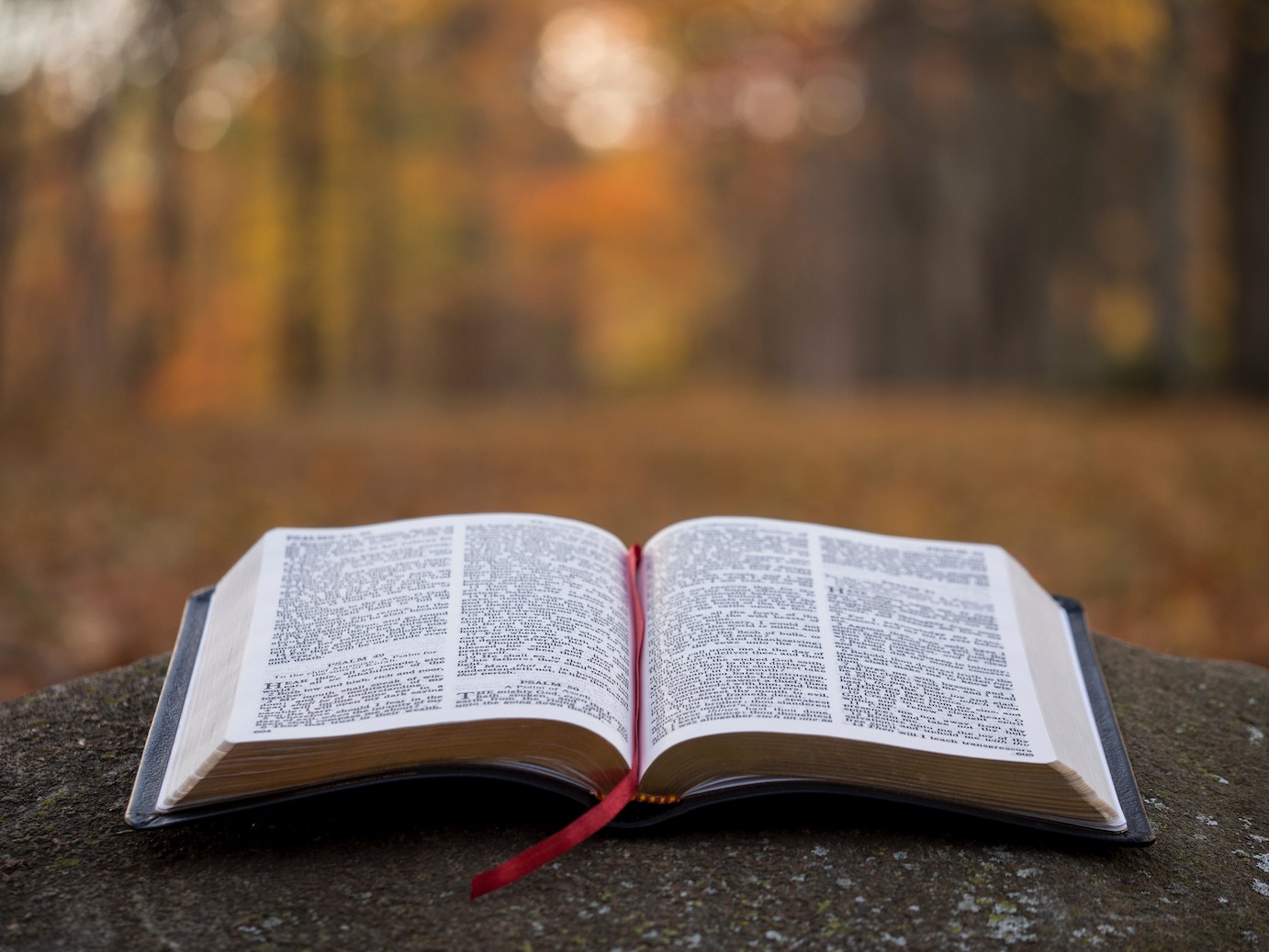 Why Our Spiritual Walk Needs Repetition