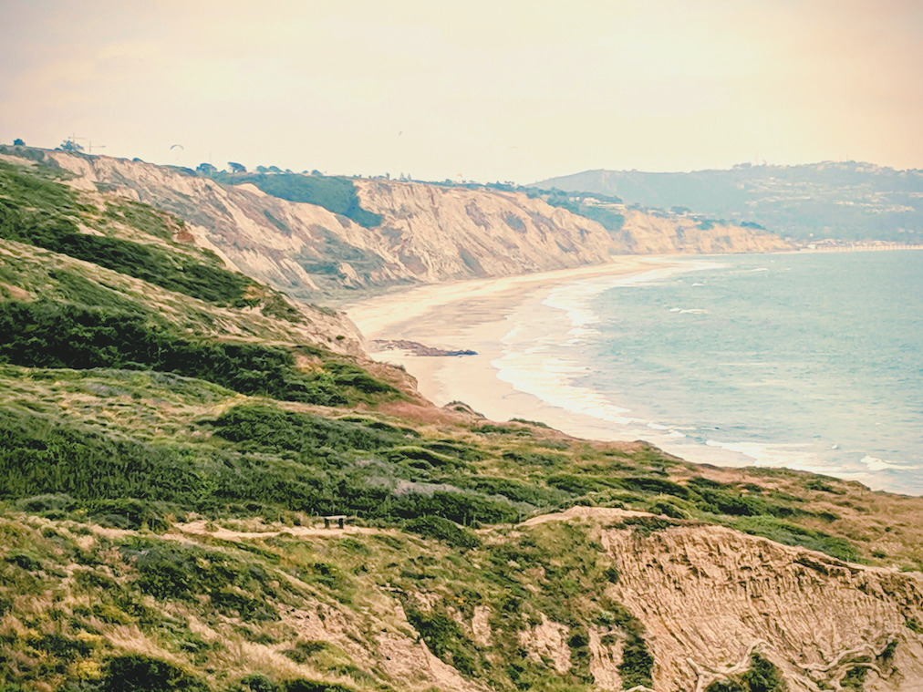 Torrey Pines